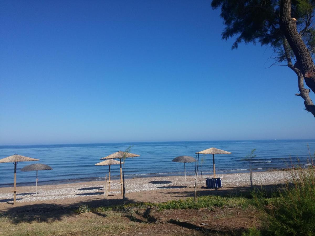 Irida Resort