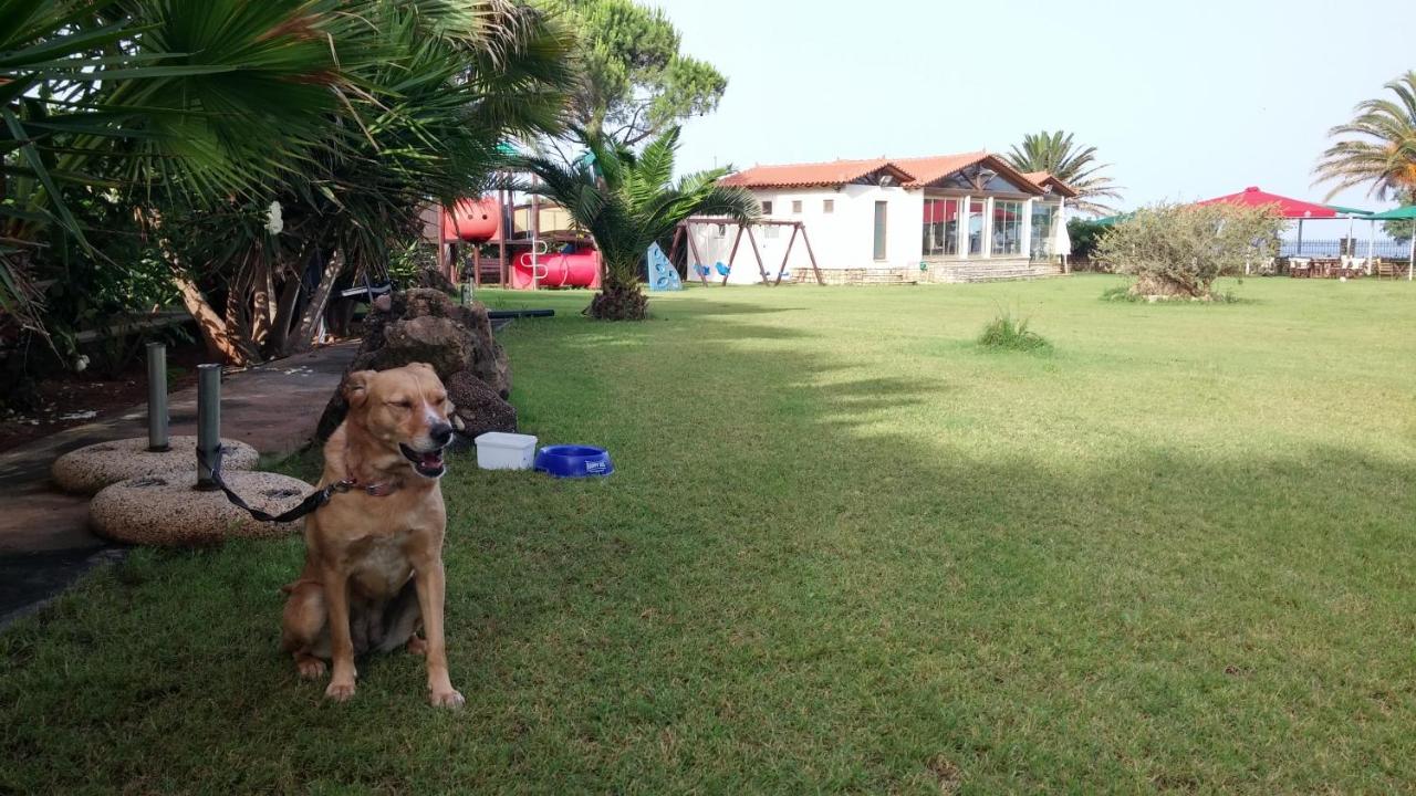 Irida Resort