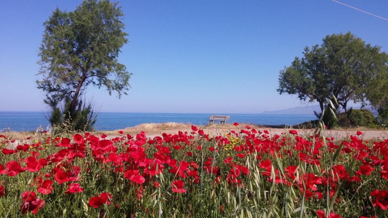 Irida Resort