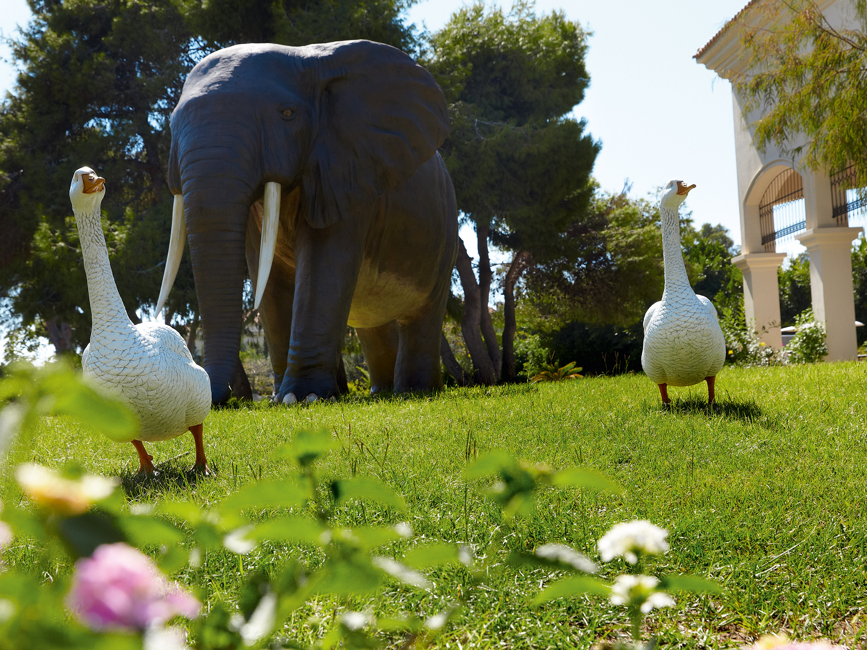 Grecotel Olympia Oasis Village & Aqua Park