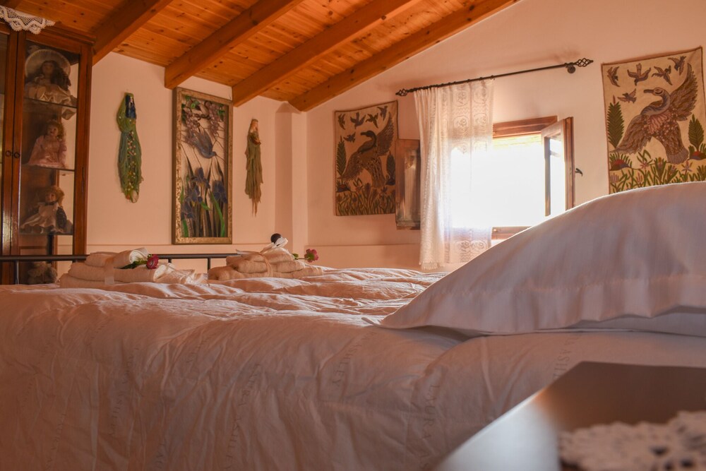 Villa Amid The Olive Groves