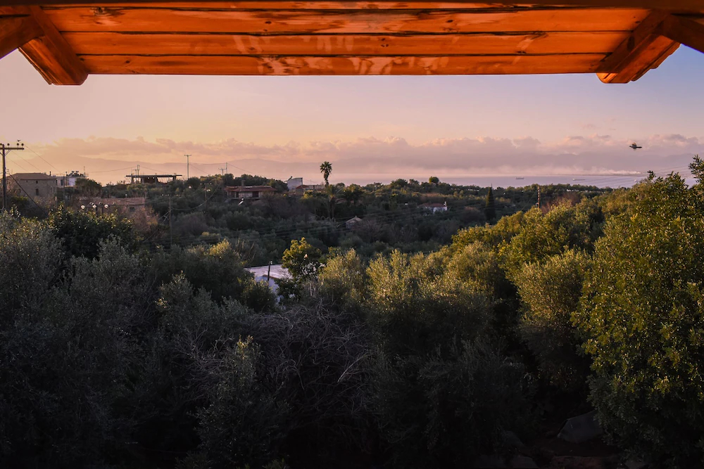 Villa Amid The Olive Groves