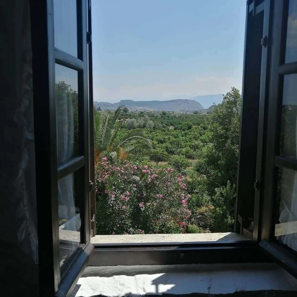 Orange Grove Villa
