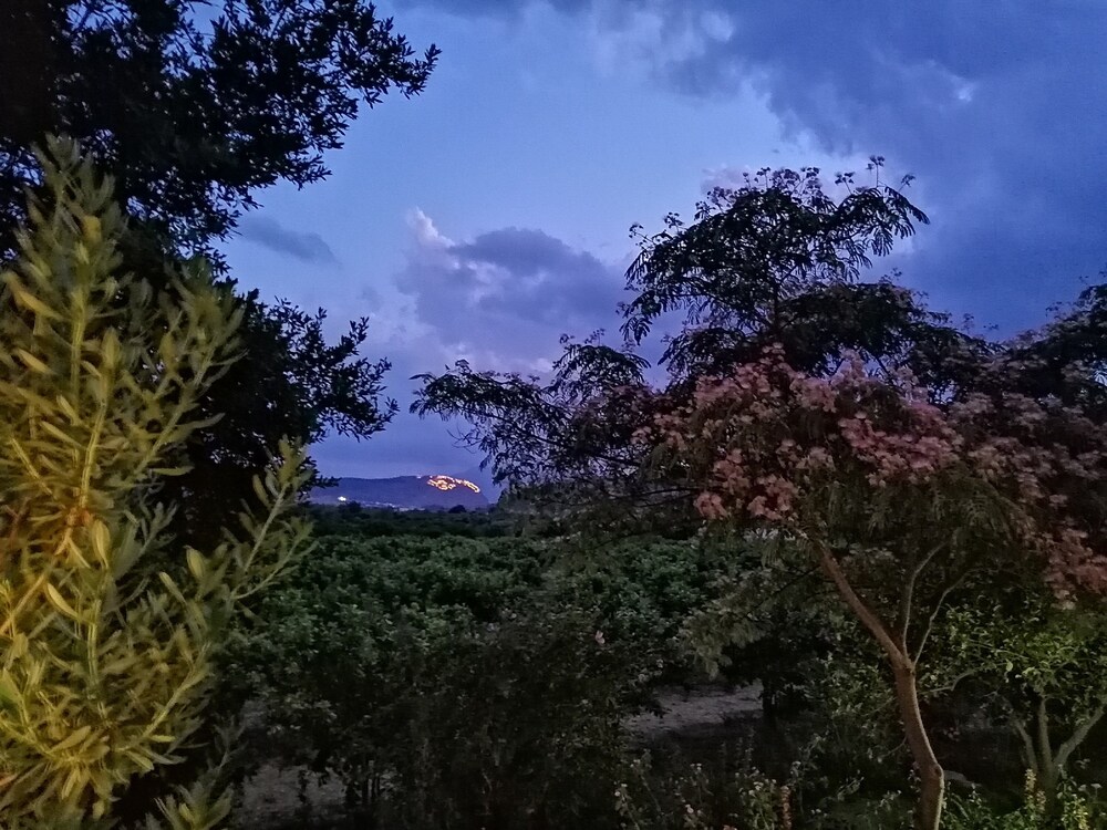 Orange Grove Villa