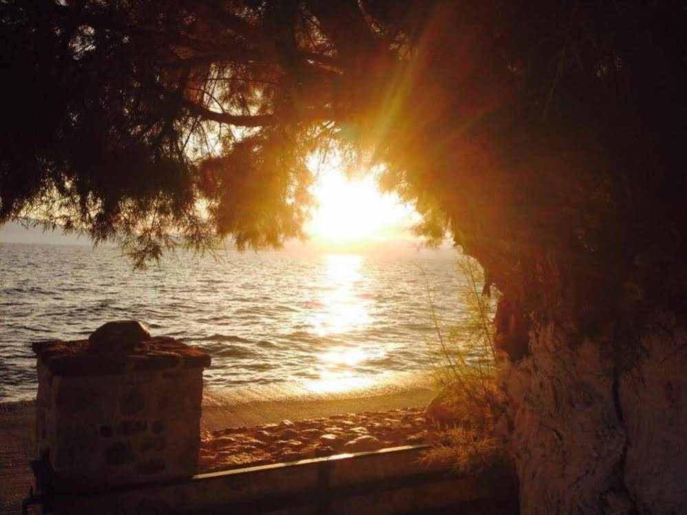 Sofia Apartments Kantia