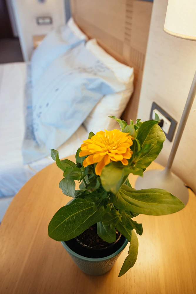 Alexandros Hotel