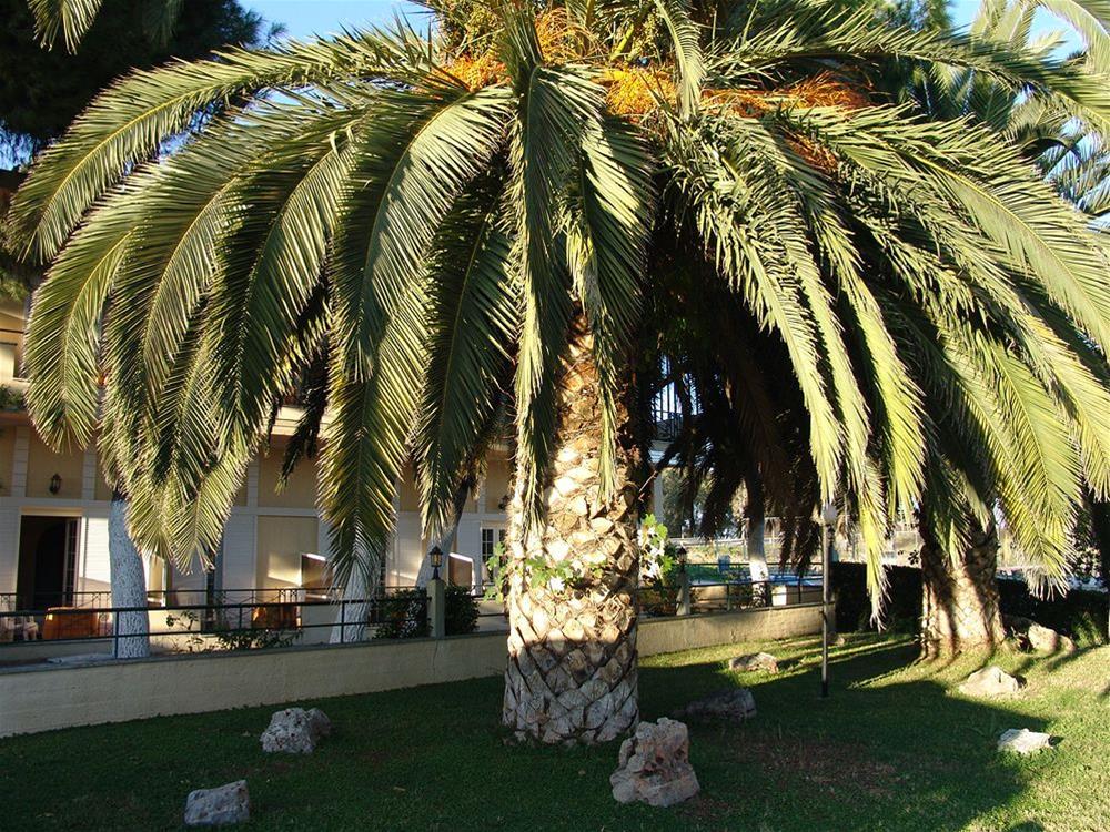 Hotel Ignatia