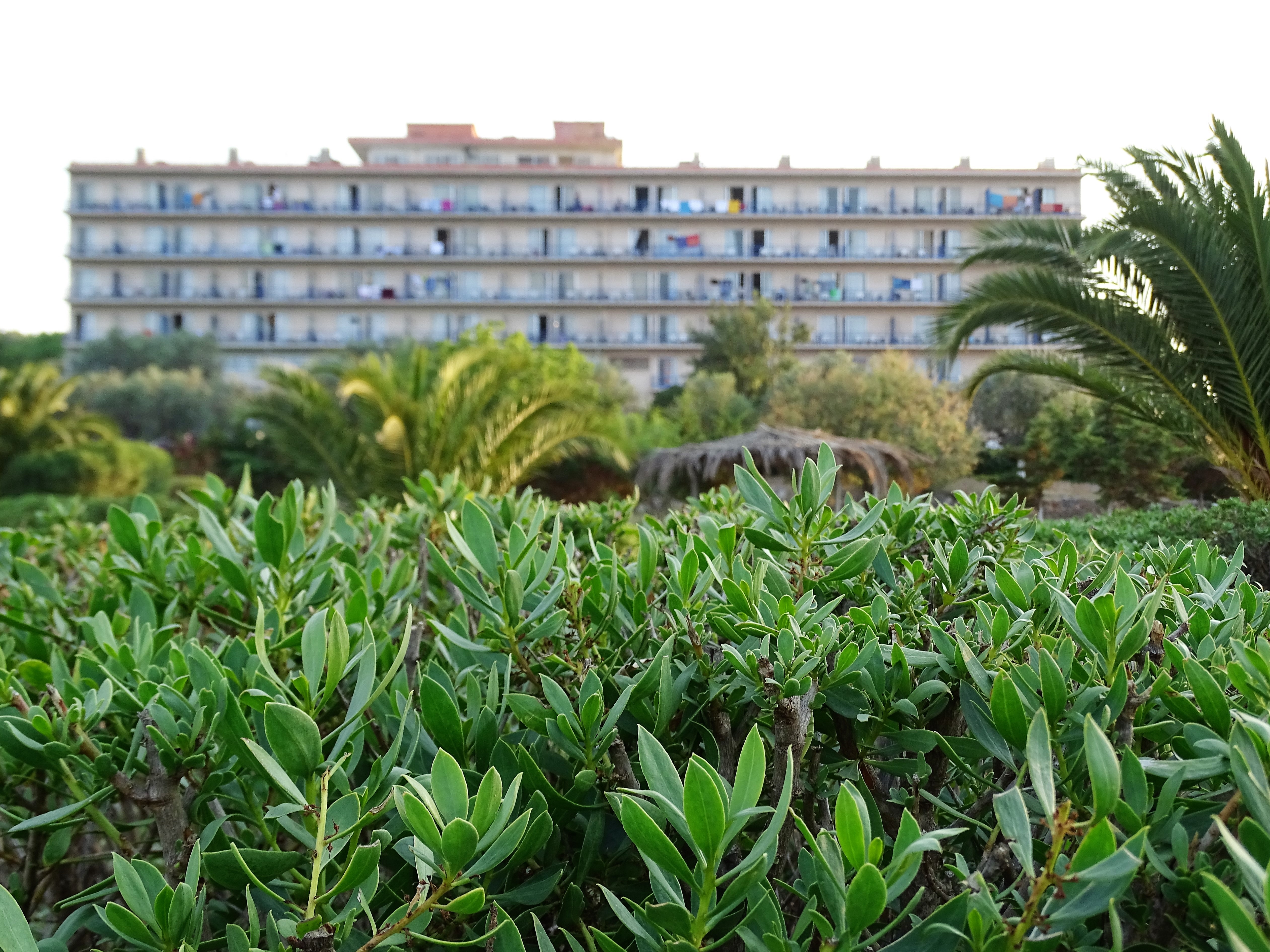 Hotel Galaxy