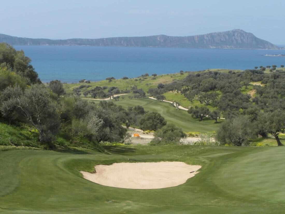 The Olive Grove
