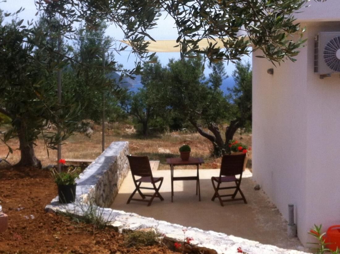 The Olive Grove