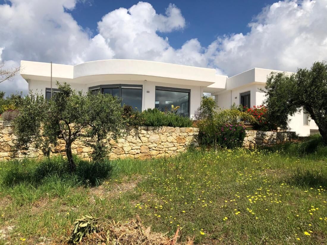 The Olive Grove