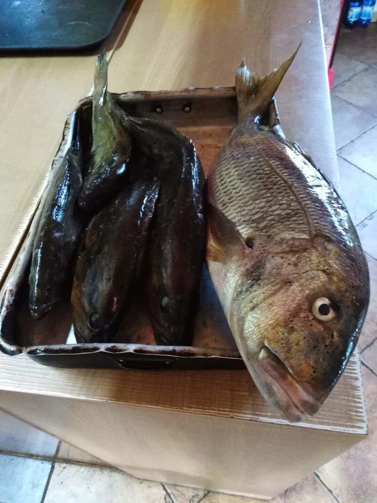 Porto Sabatiki