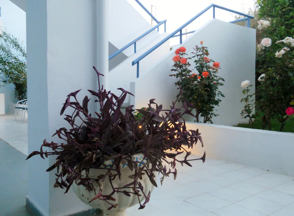 Dimitra Apartment Hotel