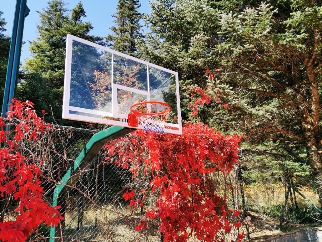 All Seasons Paradise