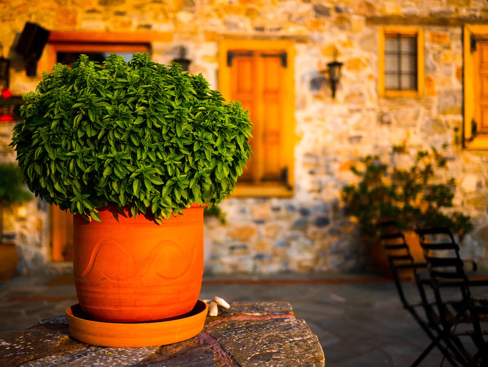 Eos Traditional Guesthouse