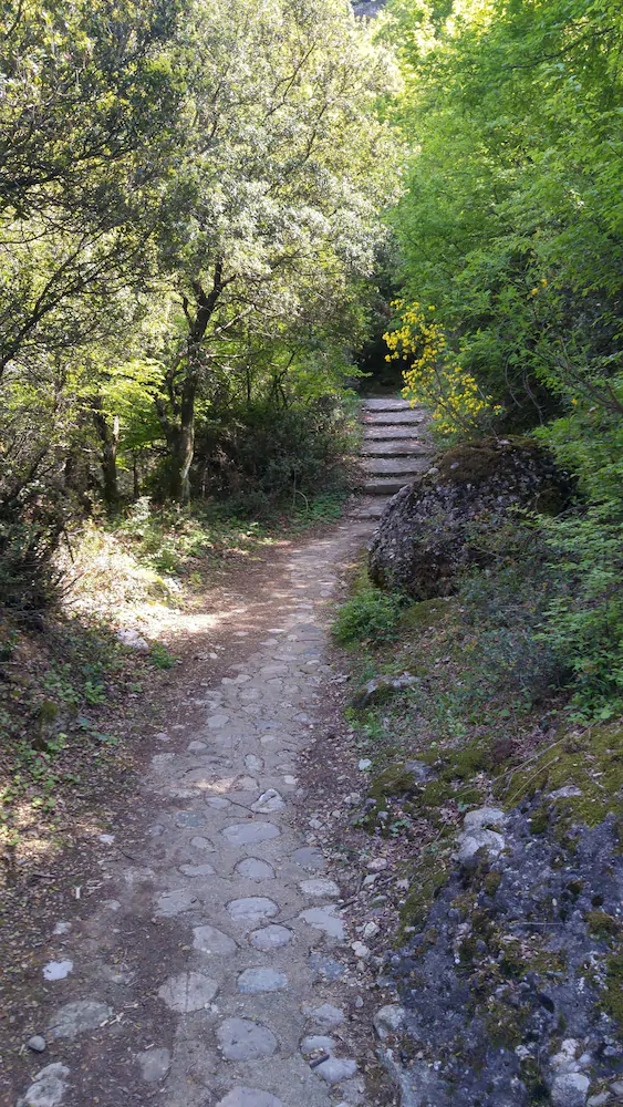 Rina's House Meteora
