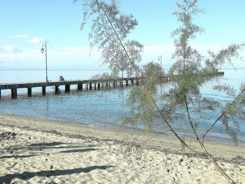 Avra