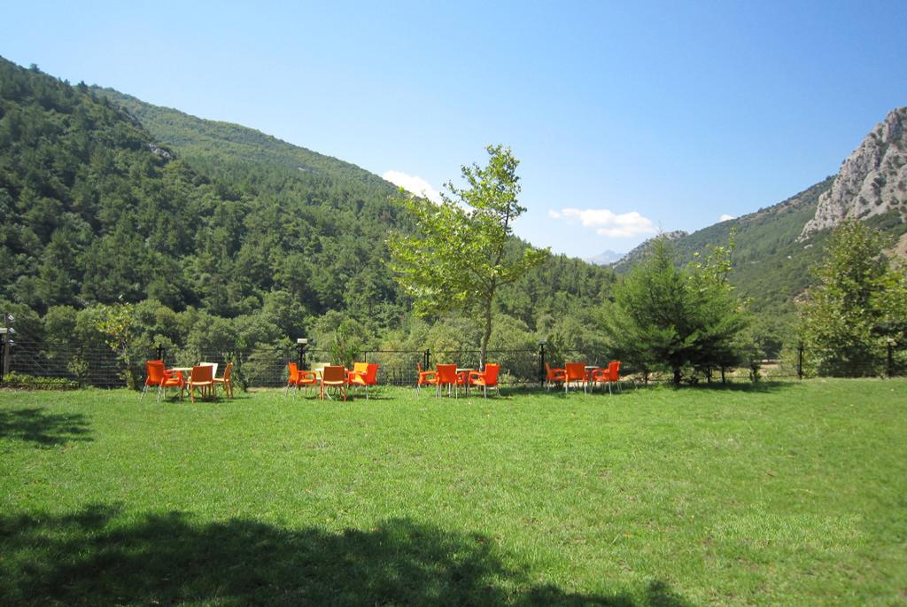 Hotel Pyli