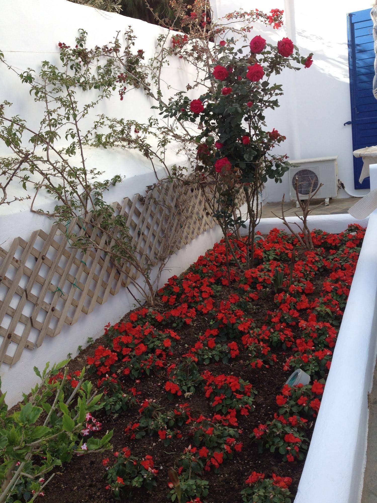 Matas Apartments