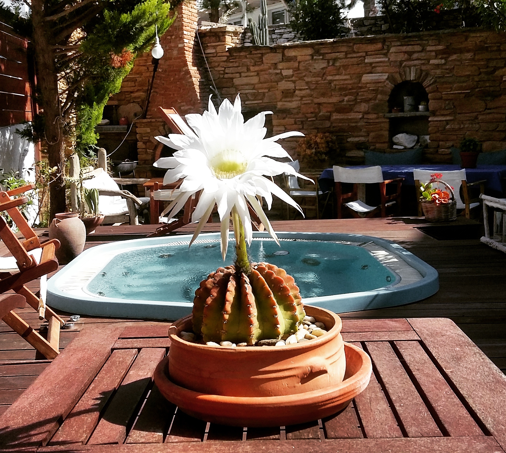 Vincenzo Family Rooms