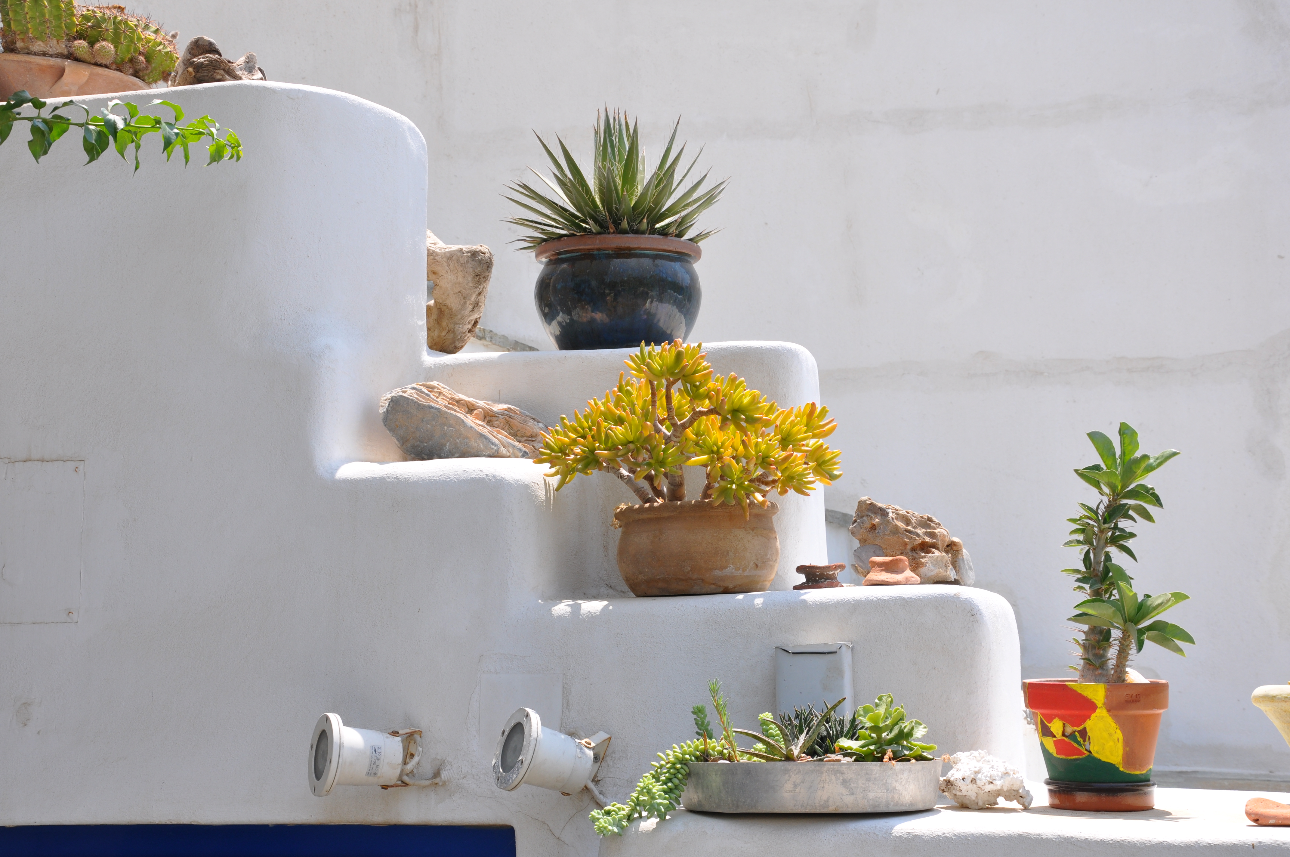 Vincenzo Family Rooms