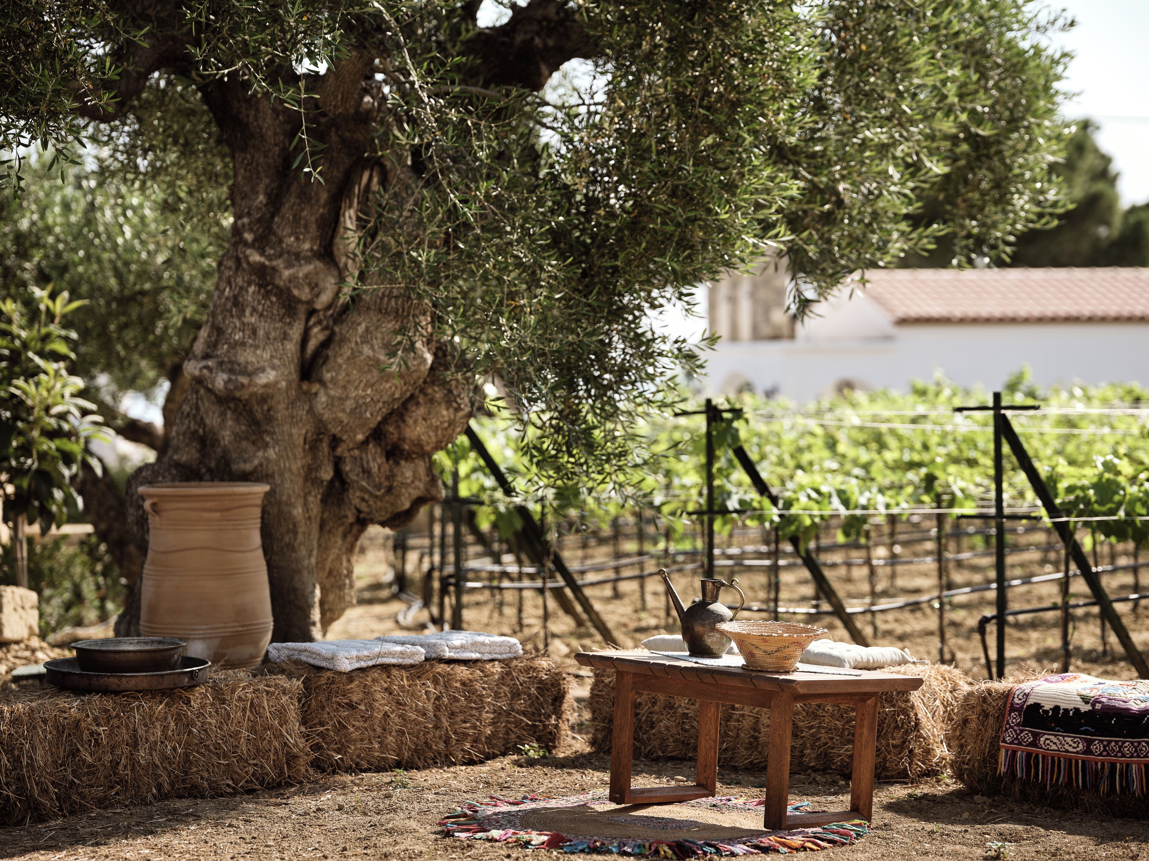Lesante Cape – The Leading Hotels of the World