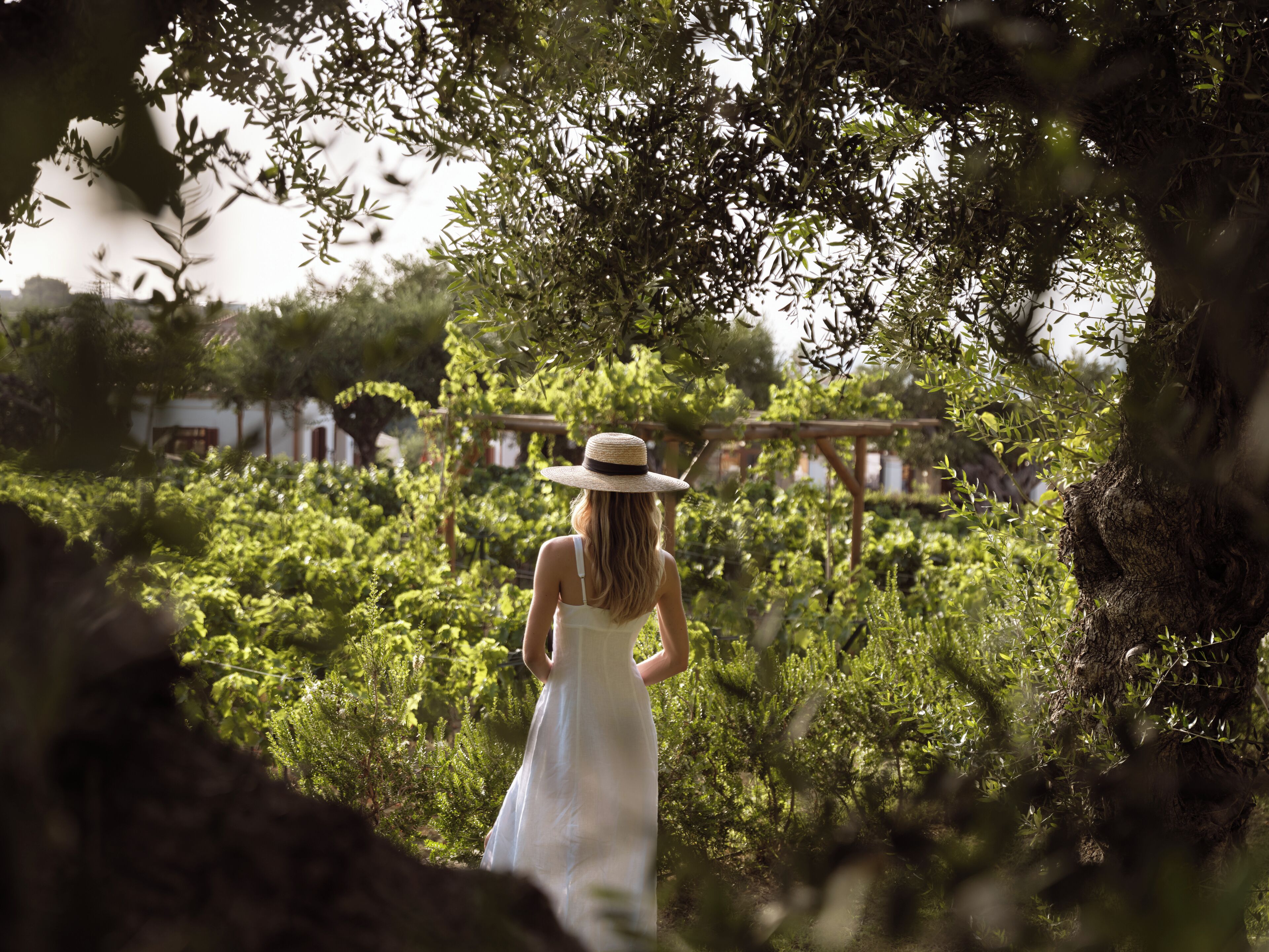 Lesante Cape – The Leading Hotels of the World