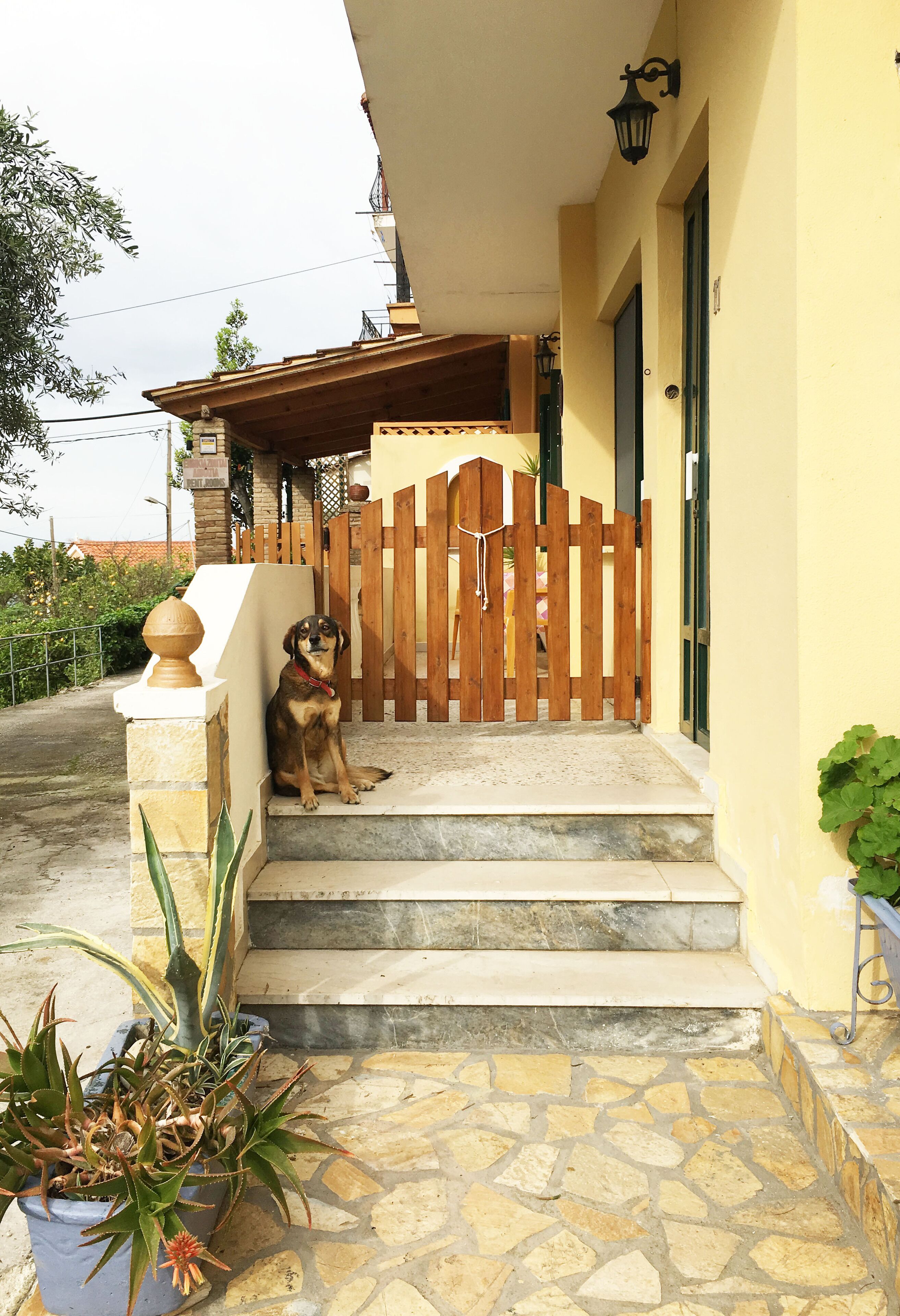 Andrikas Villa at Xenios Avlais