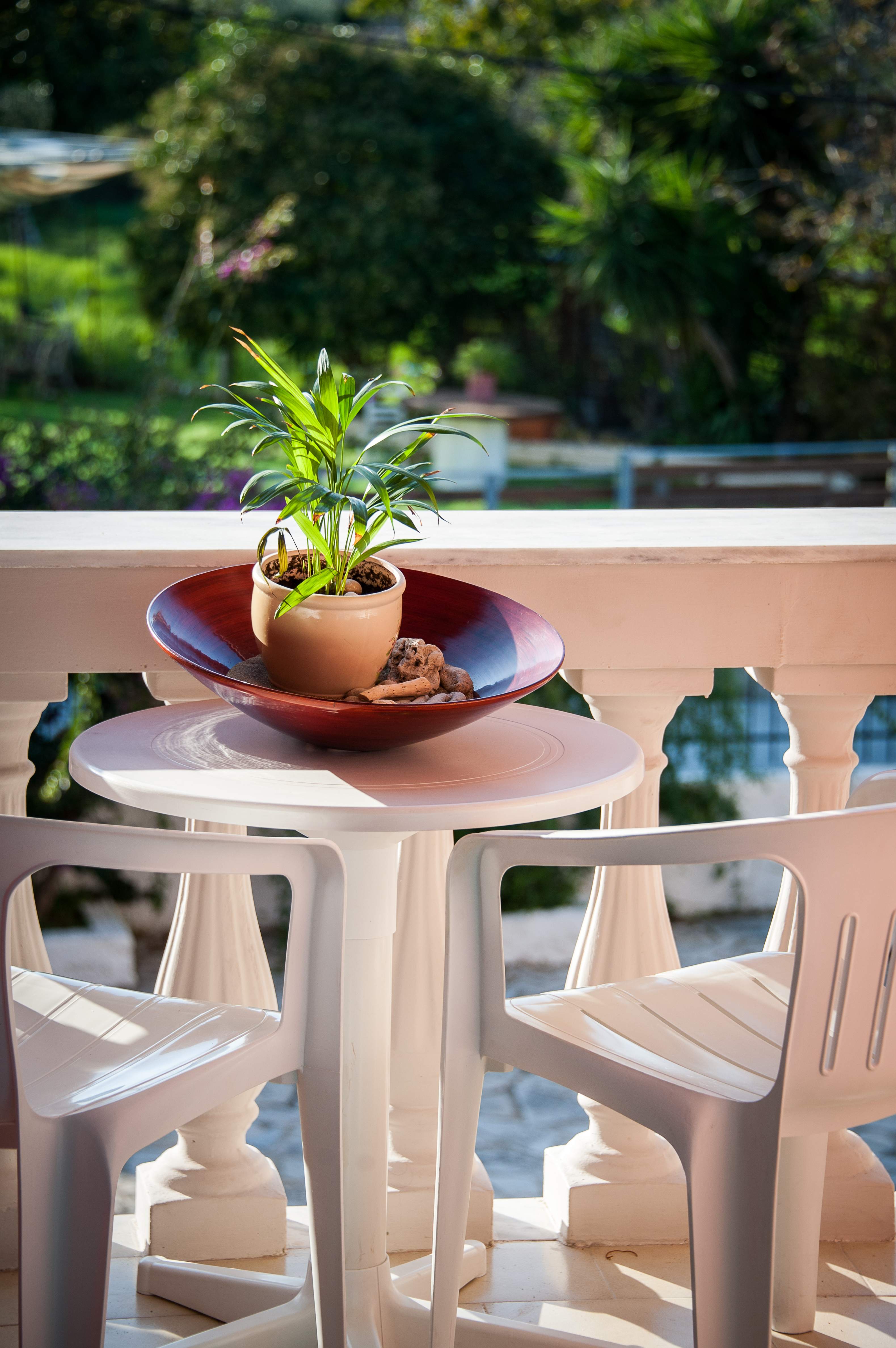 Zante Nest Studios & Apartments