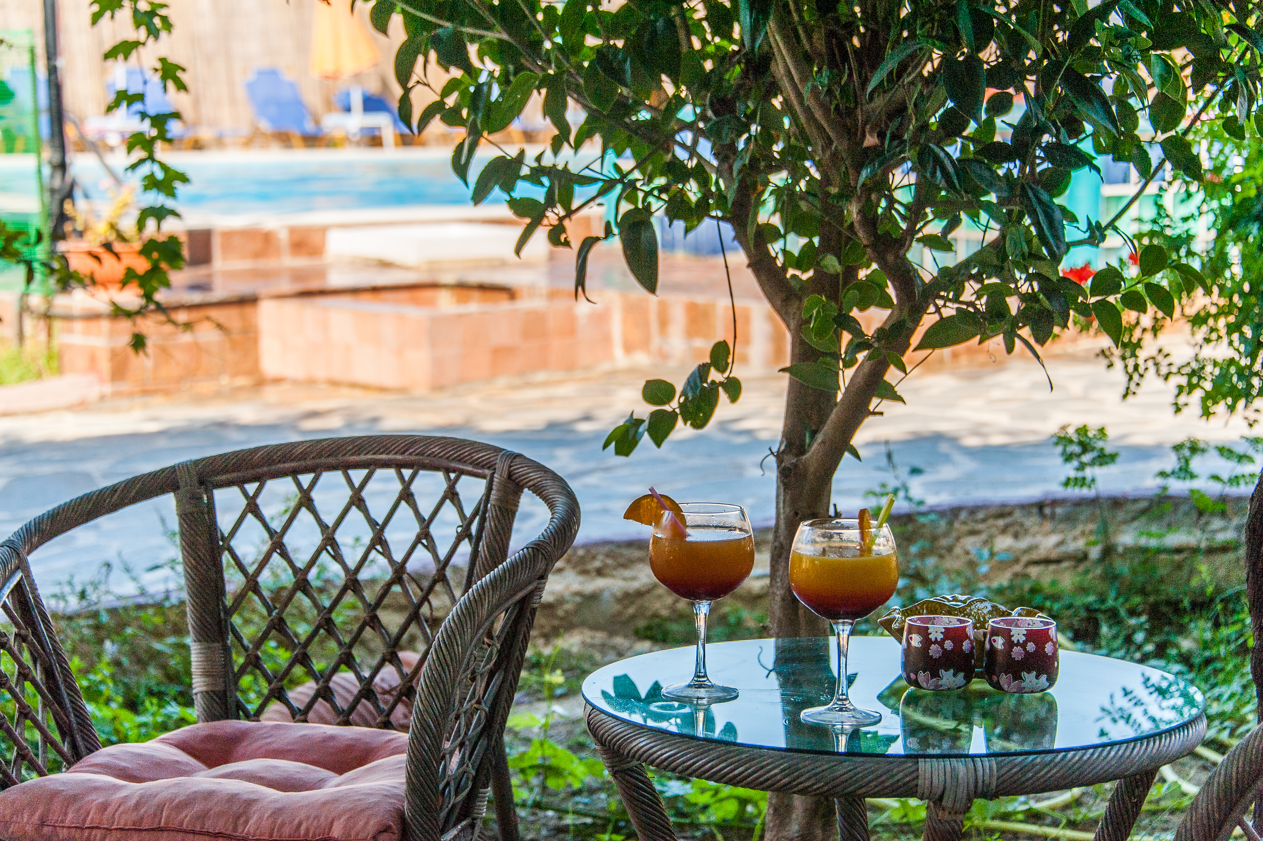 Zante Nest Studios & Apartments