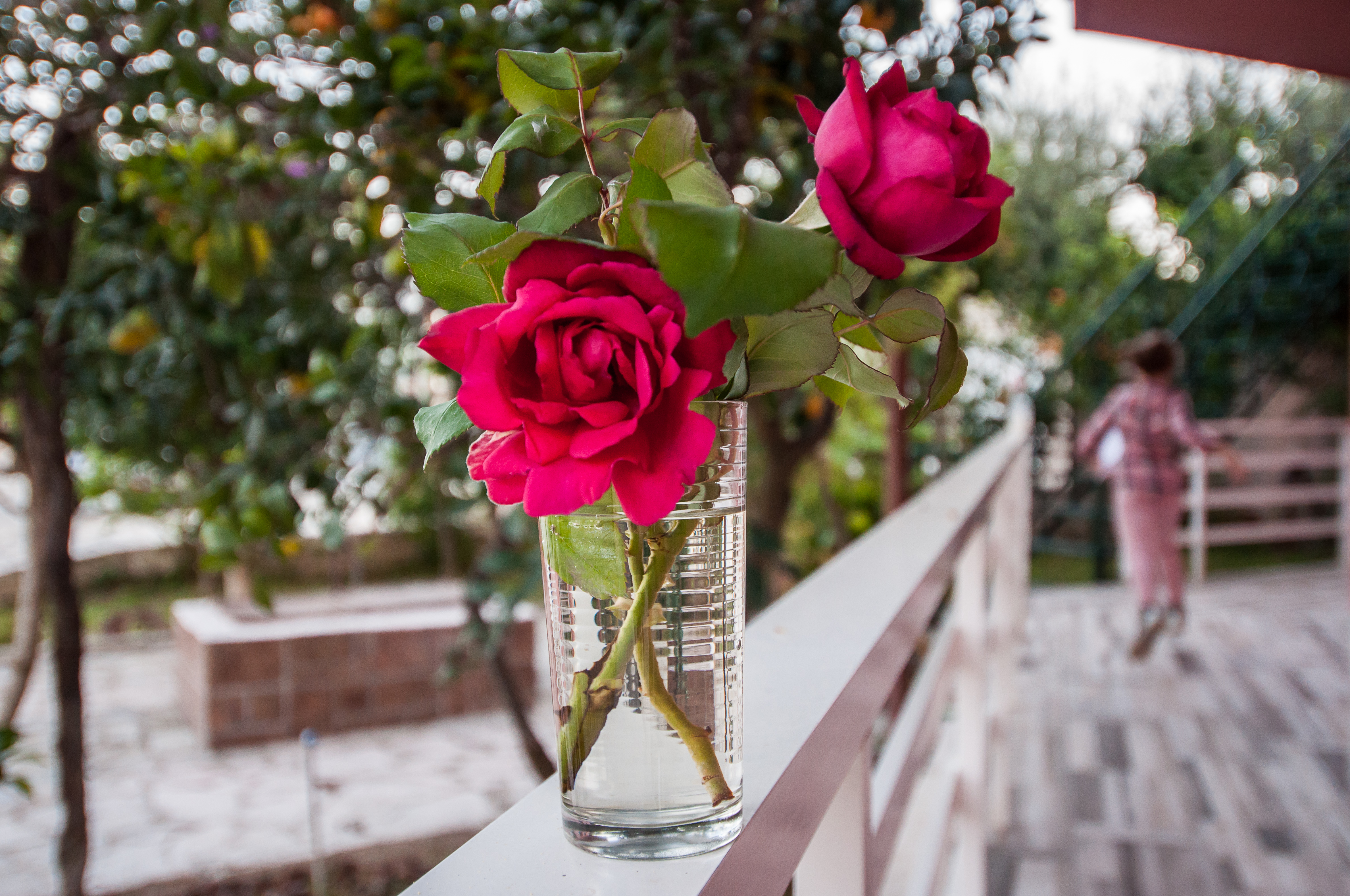 Zante Nest Studios & Apartments