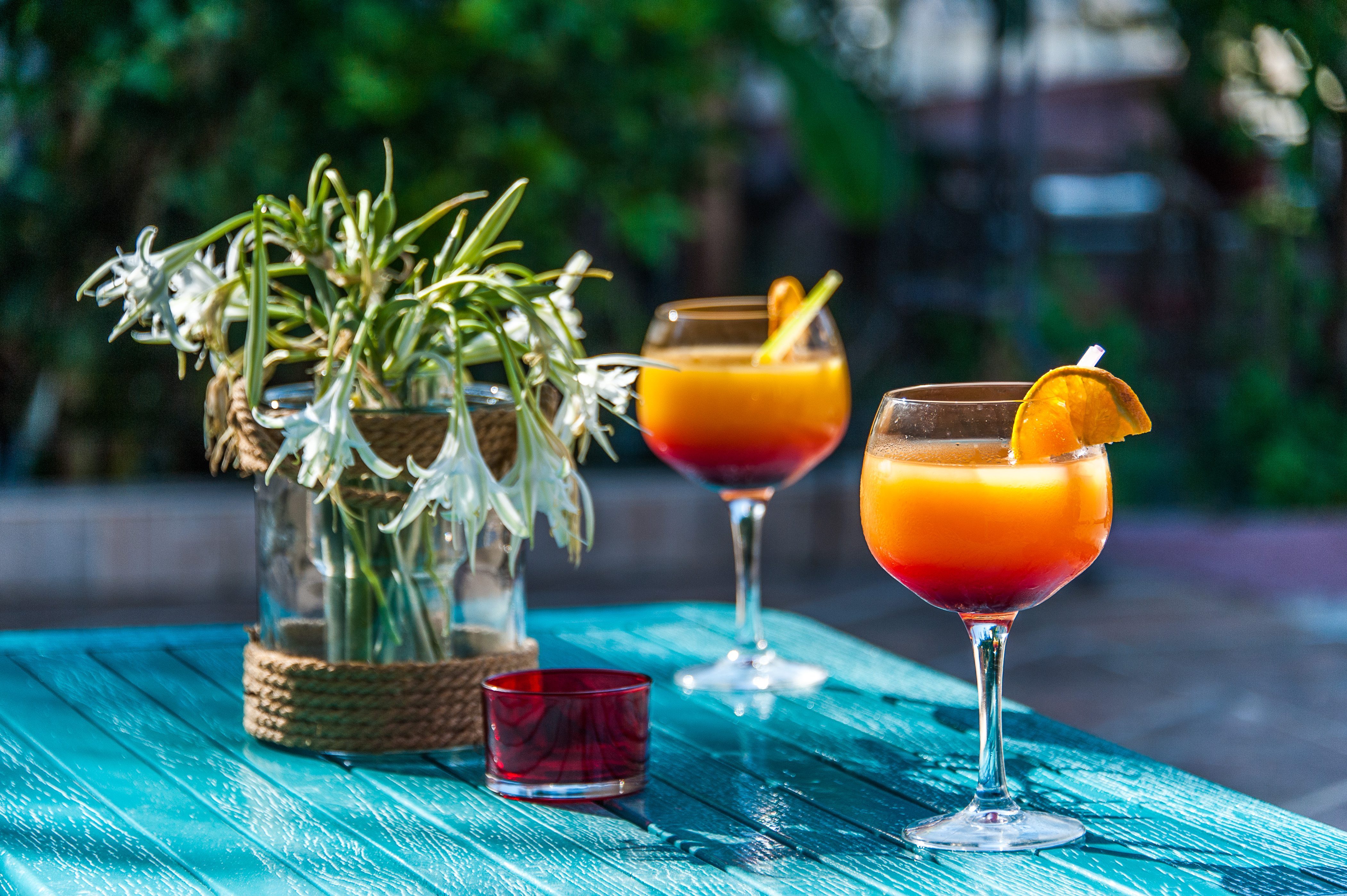 Zante Nest Studios & Apartments