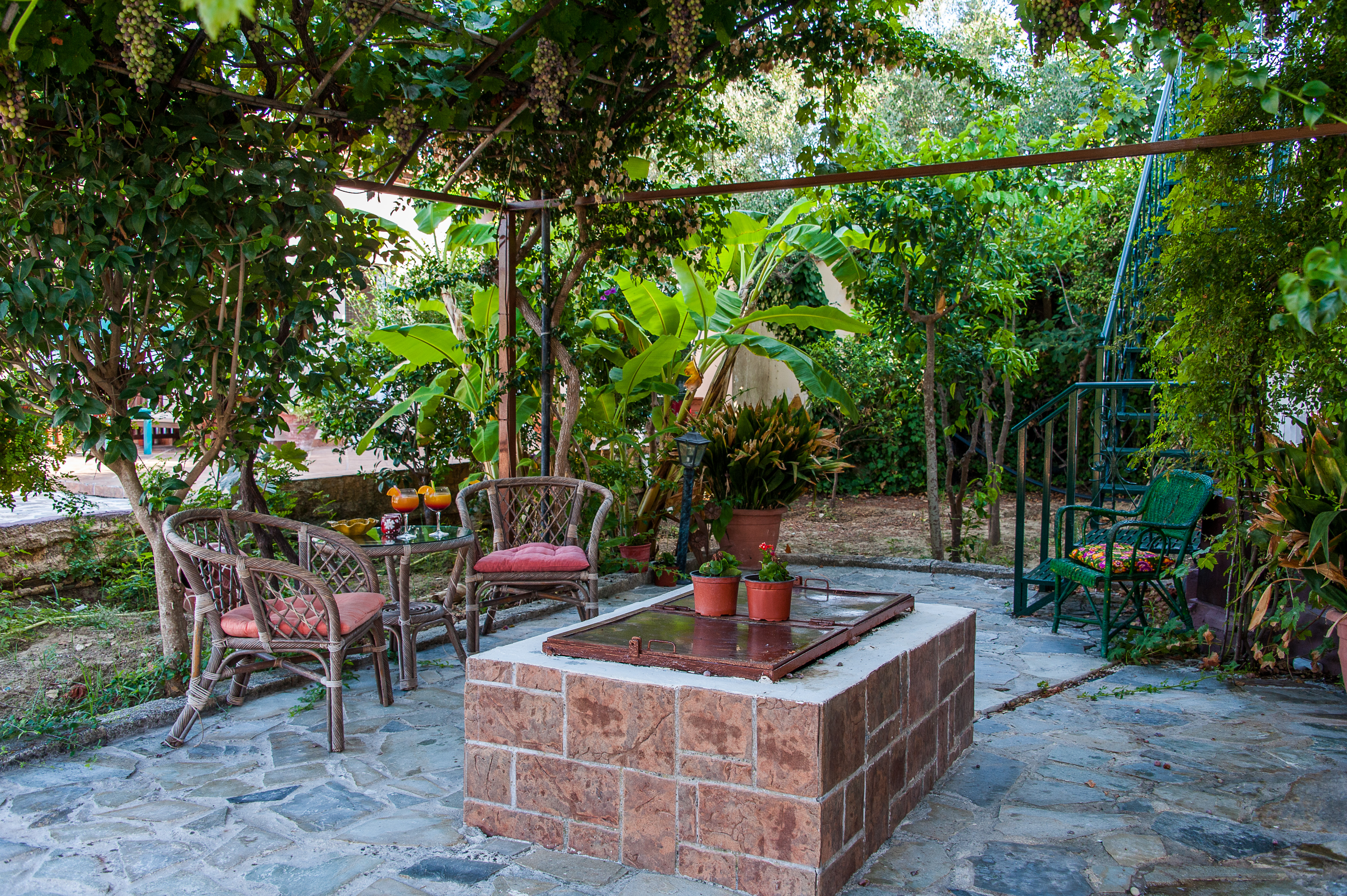 Zante Nest Studios & Apartments