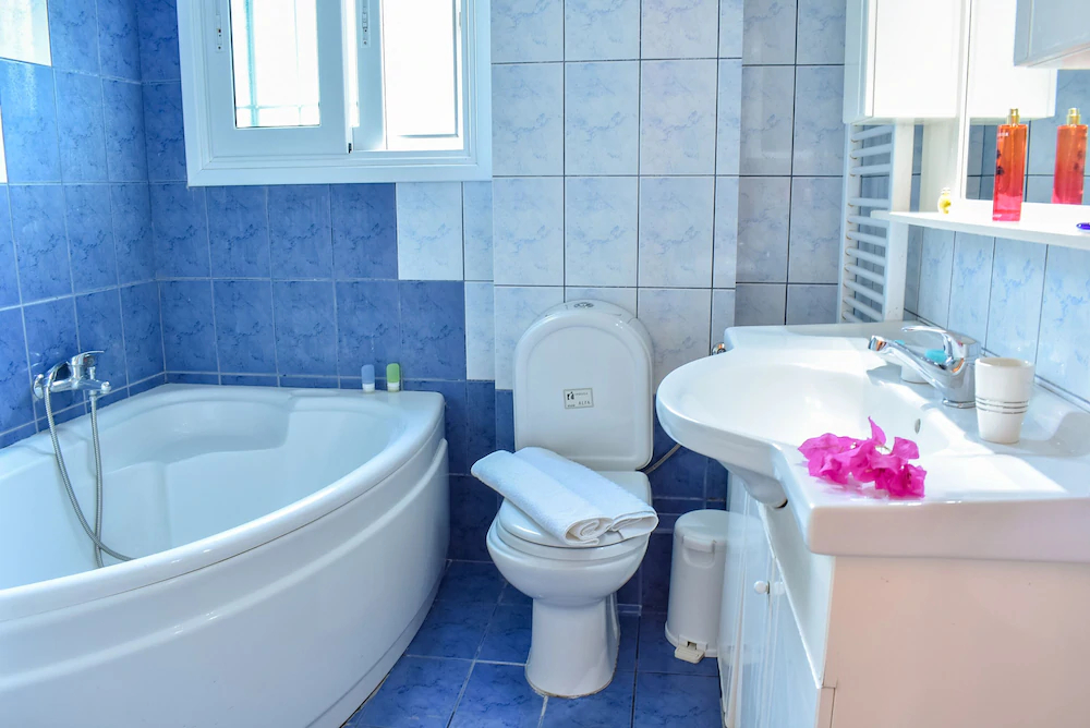 Vicky's Village House