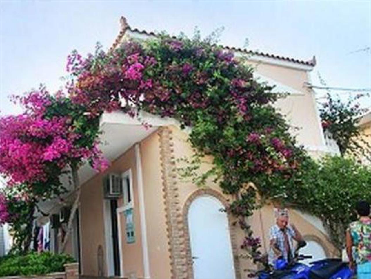 Asteri Studios & Appartments