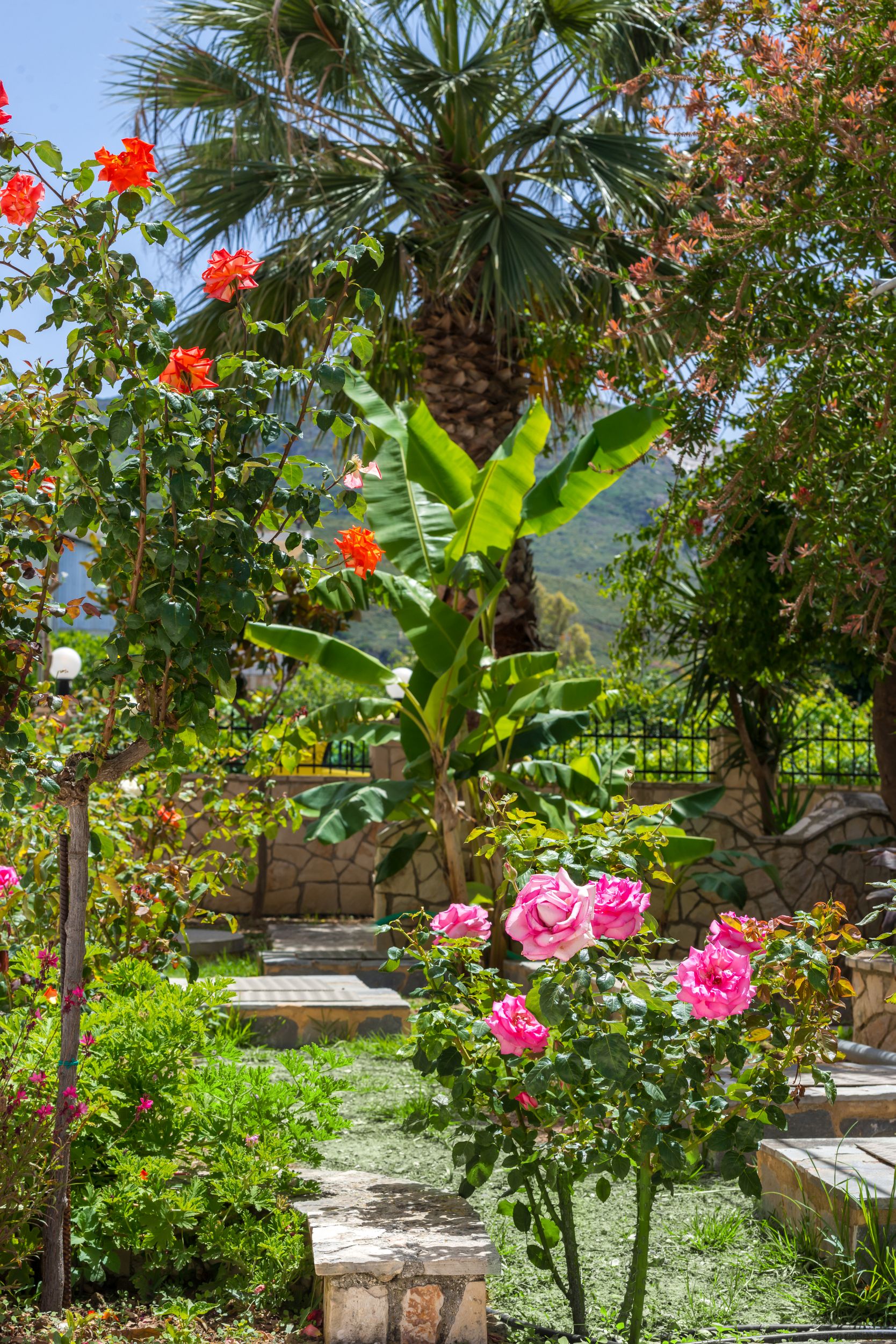 Athina Apartments