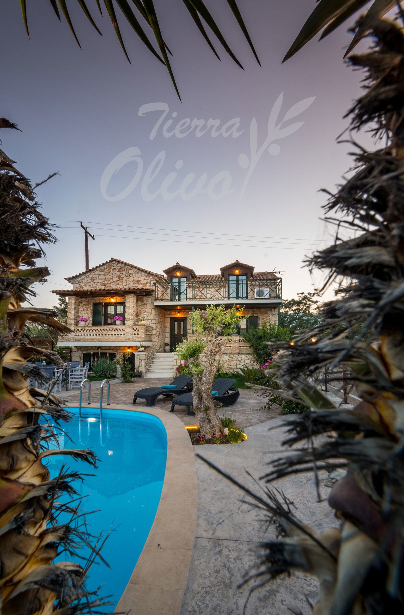 Tierra Olivo