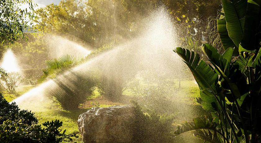 Domes Aulus Zante, Autograph Collection