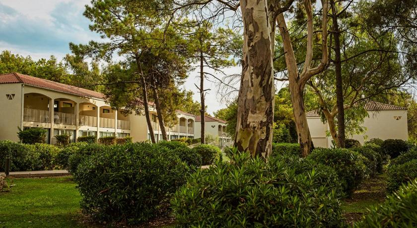 Domes Aulus Zante, Autograph Collection