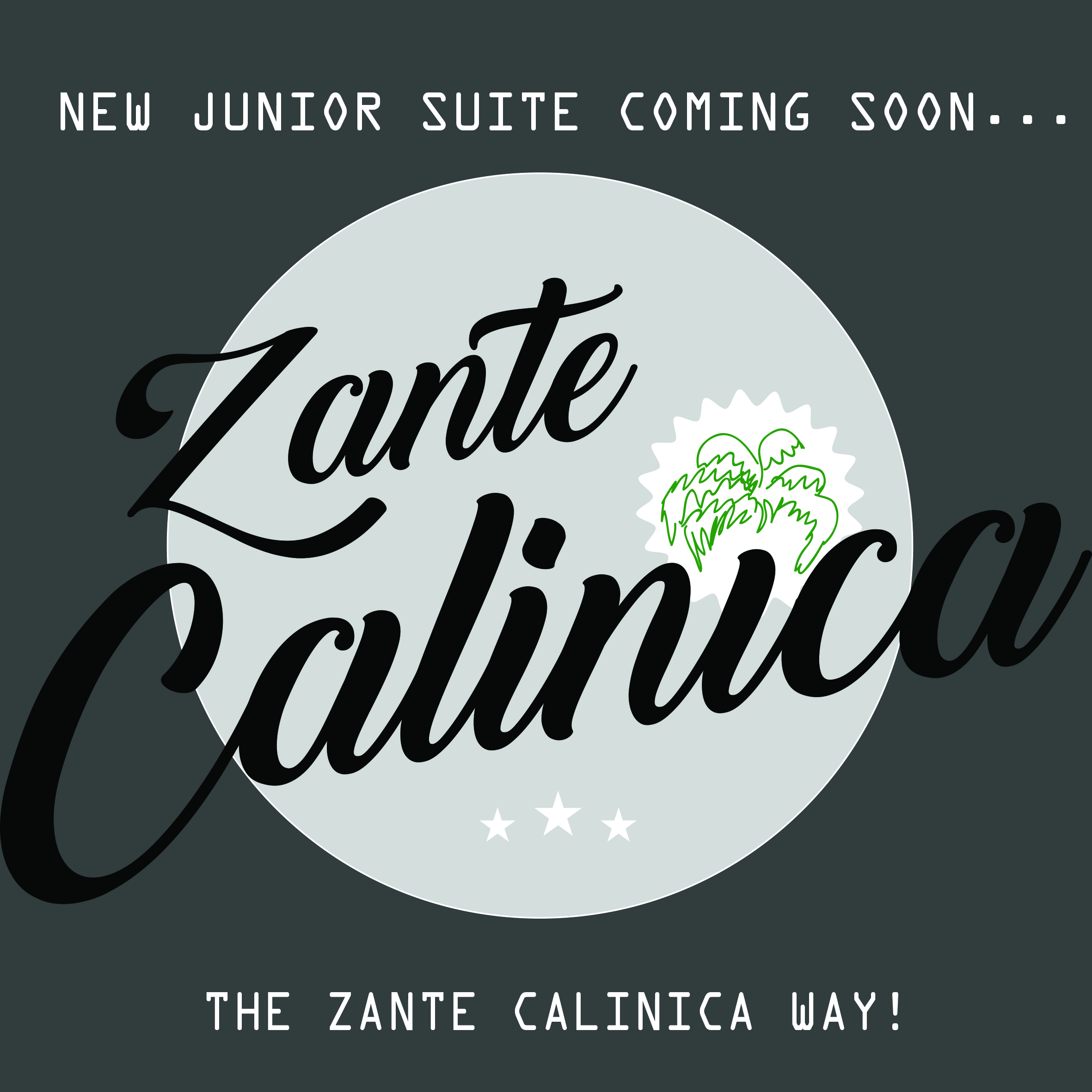 Zante Calinica Hotel