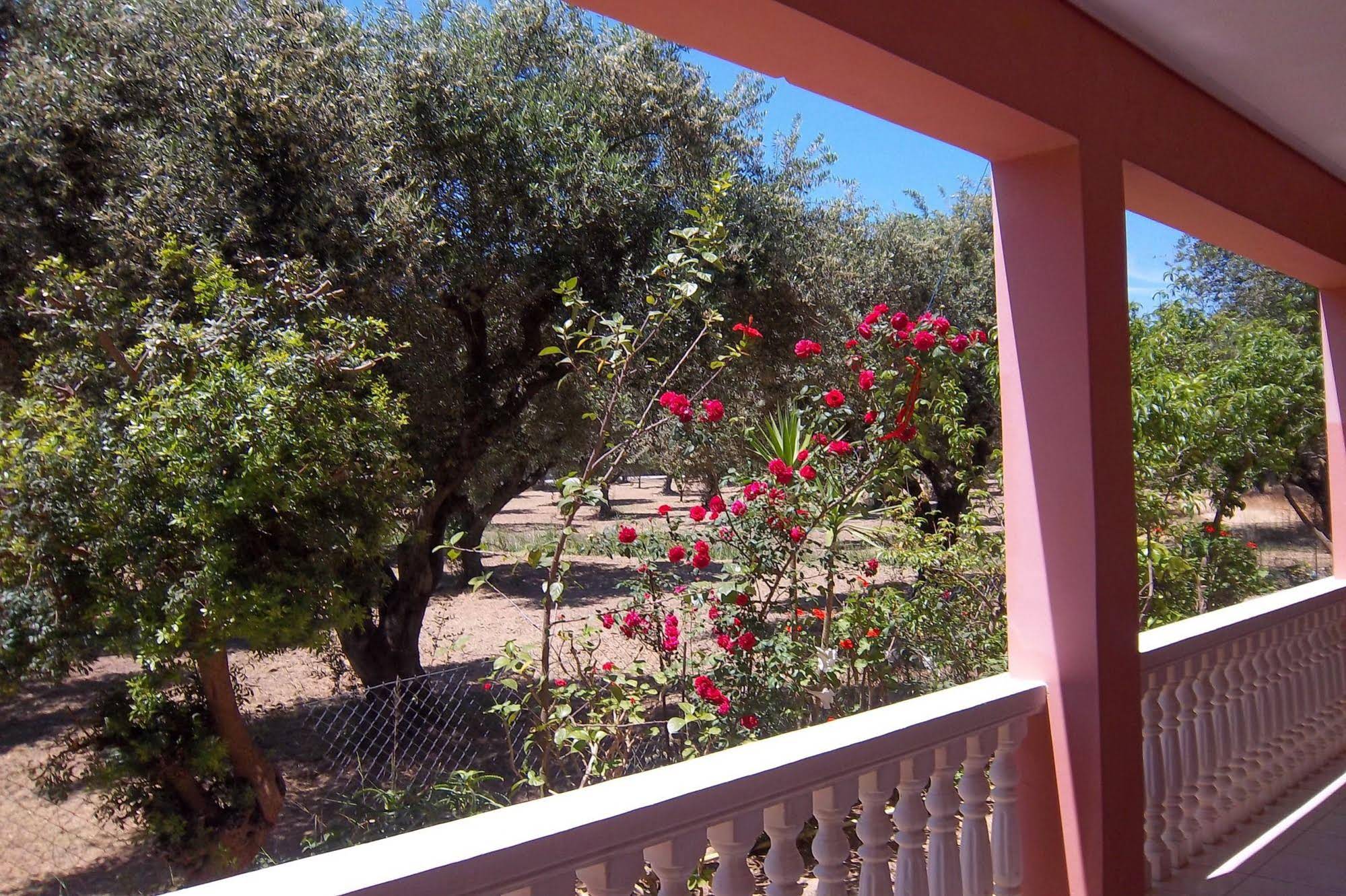 Arazzo Holiday Apartments