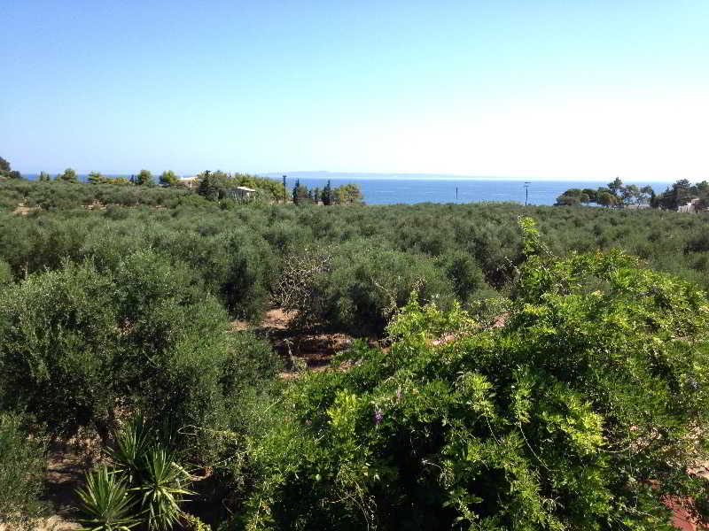 THIRES Guesthouse