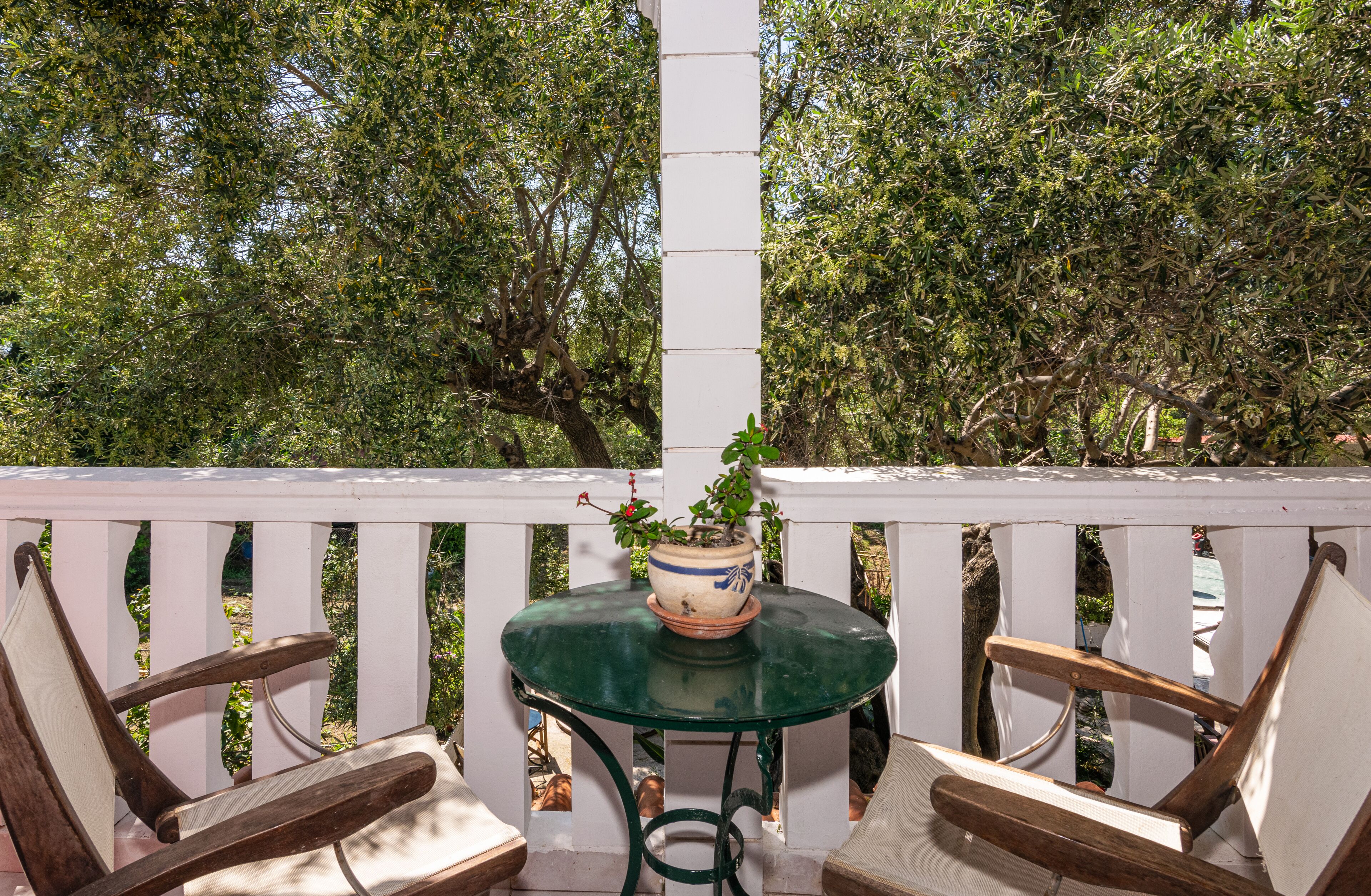 Dopia's Garden Studios