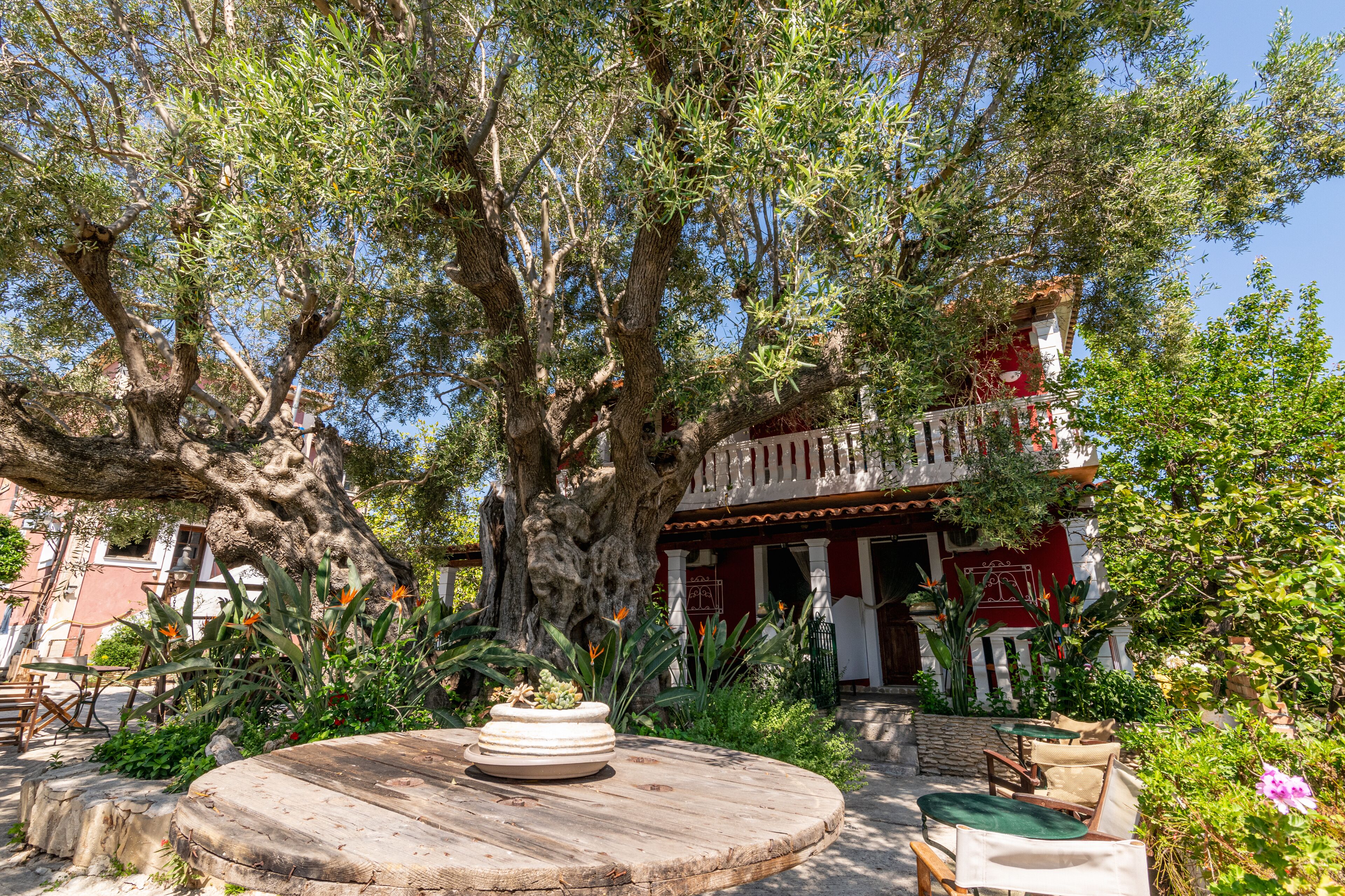 Dopia's Garden Studios