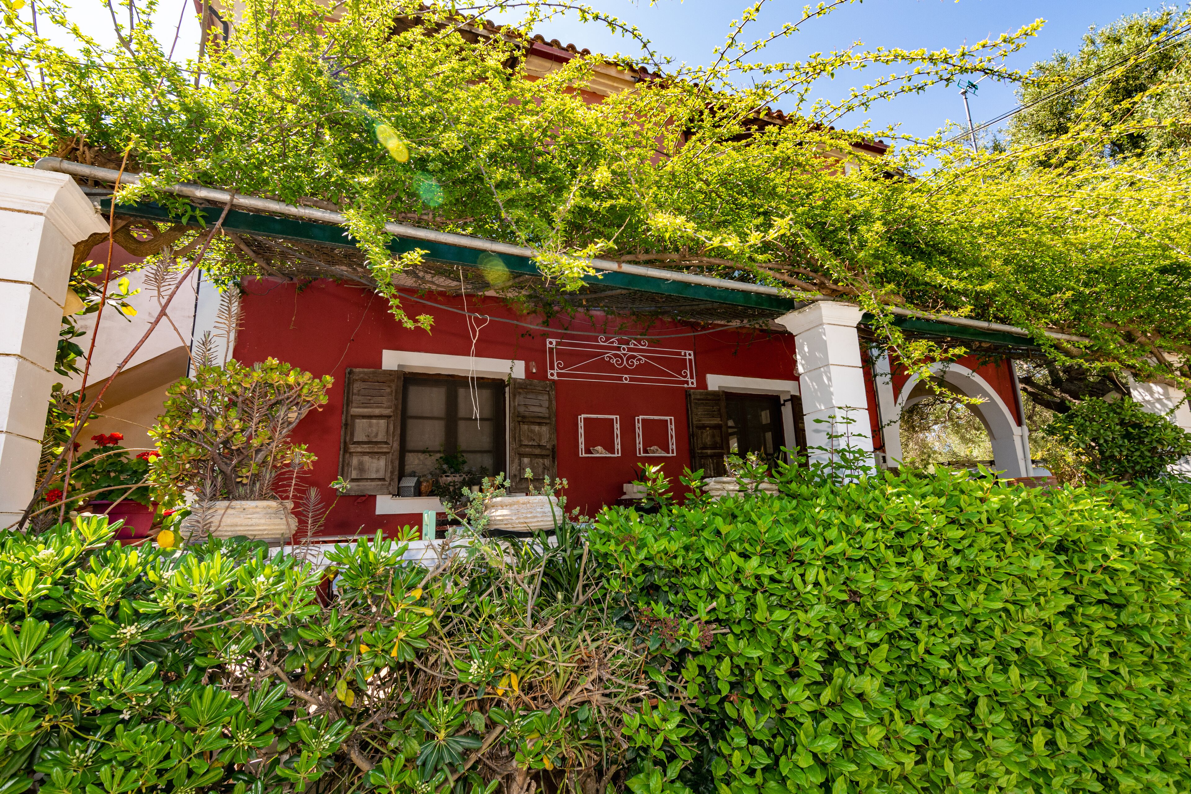 Dopia's Garden Studios