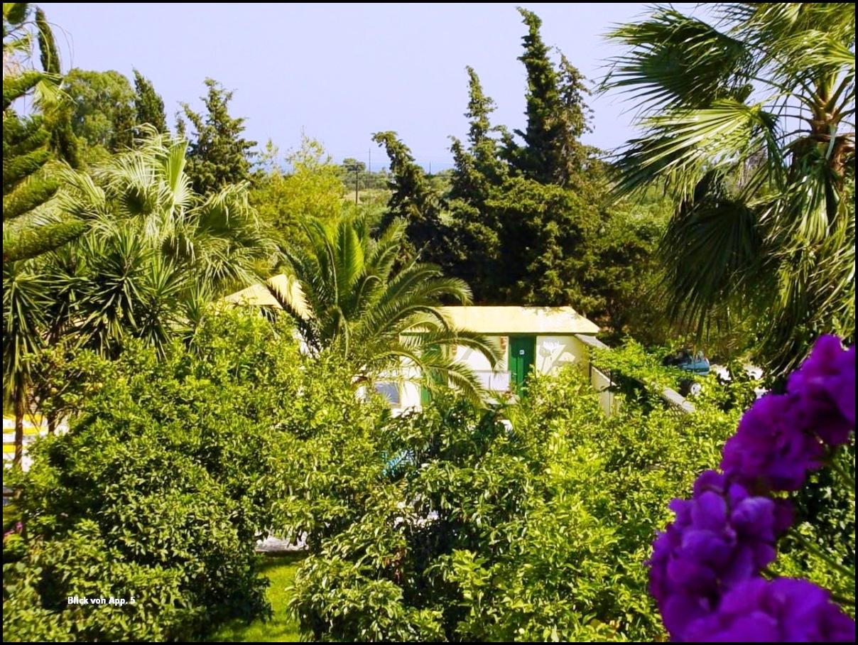 Lemon Garden