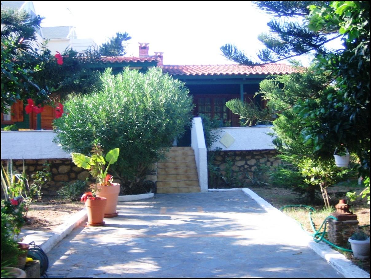 Lemon Garden