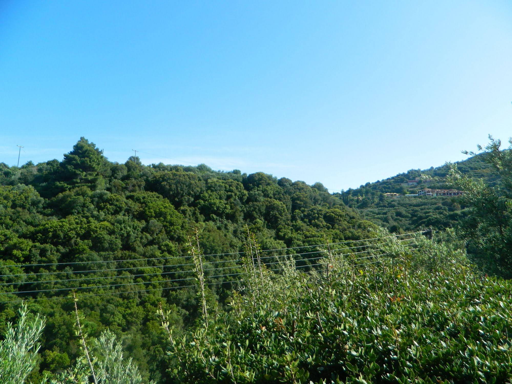 Villa Levante
