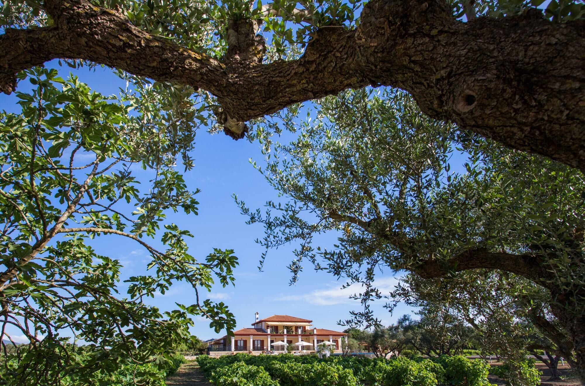 Aneli Luxury Villas - Villa Anastasia