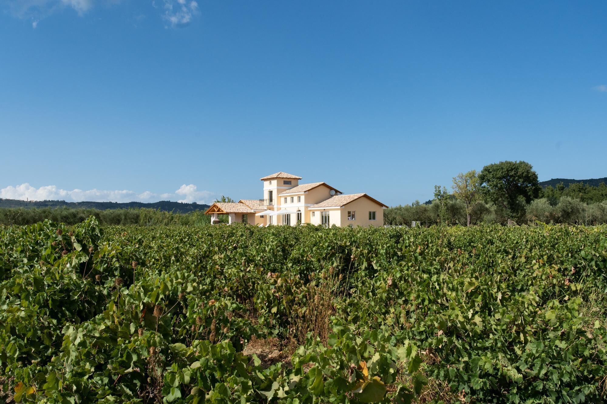 Aneli Luxury Villas - Villa Semeli